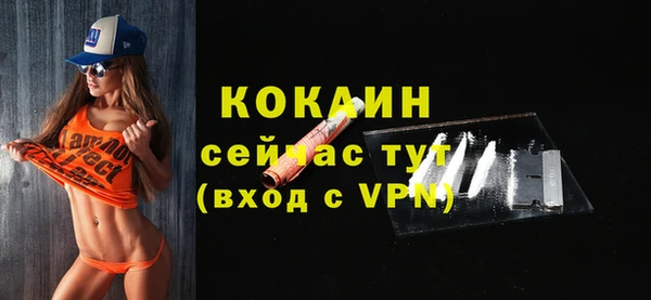 шишки Вязьма