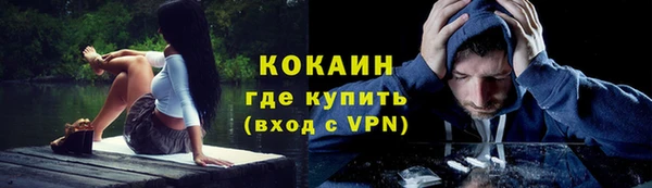 шишки Вязьма