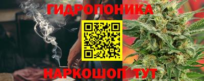 СК Донской
