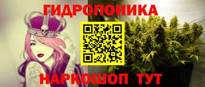 apvp Дубна