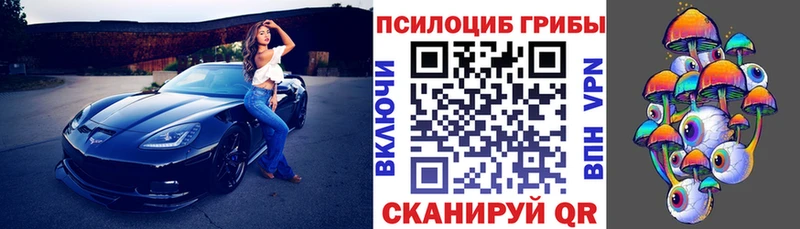 магазин продажи   Междуреченск  Псилоцибиновые грибы Psilocybine cubensis 