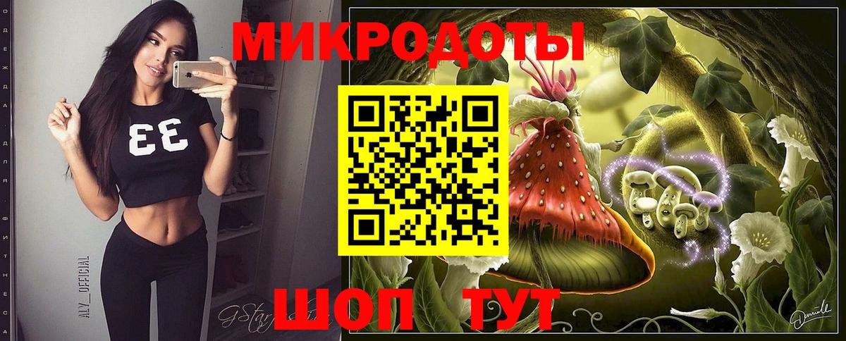 Галлюциногенные грибы Psilocybine cubensis Междуреченск