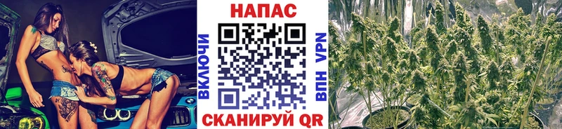 OMG tor  Междуреченск  Канабис VHQ  купить наркотик 