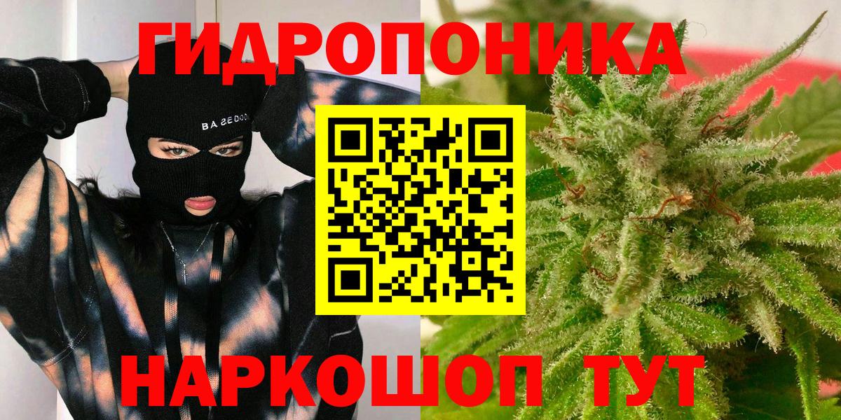 Бошки марихуана OG Kush Междуреченск